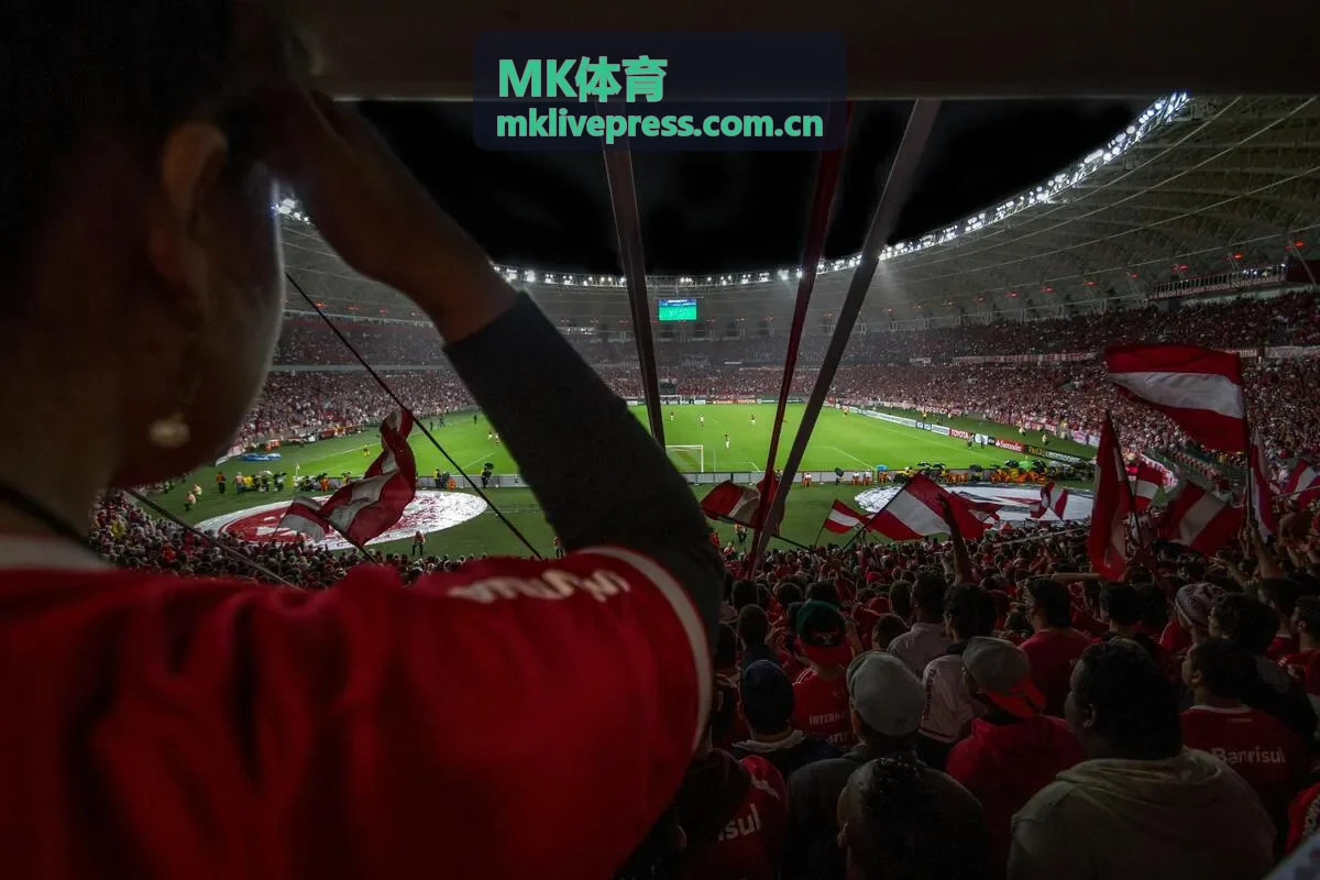 MK体育精彩回放内容画面